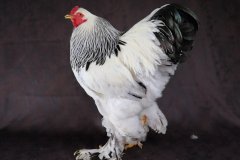 2022-05-0889