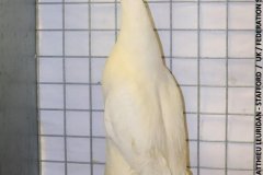 2022-05-085